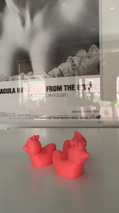 https://makerworld.bblmw.com/makerworld/model/244333/260863/ratings/d5e88370-a24a-11f0-9179-9d855d92c4ab.jpg