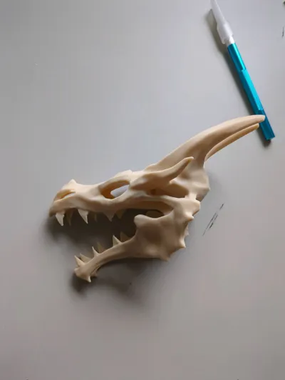 https://makerworld.bblmw.com/makerworld/model/246192/262555/ratings/e20b0a00-d428-11f0-9365-177d3d030844.jpg
