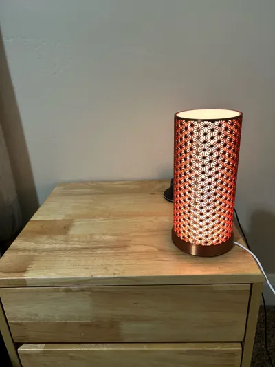 https://makerworld.bblmw.com/makerworld/model/246236/262598/ratings/8f5467e0-6dbf-11f0-971d-f3fc8c191e5c.jpg