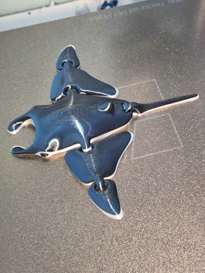 https://makerworld.bblmw.com/makerworld/model/2464315/2705167/ratings/758d8a50-610f-11f1-bdfe-e3ad2afac32b.jpg