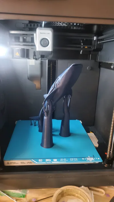 https://makerworld.bblmw.com/makerworld/model/247395/263697/ratings/354f0760-9df7-11f0-bd0e-af24ebd5f2bc.jpg