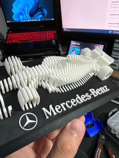 https://makerworld.bblmw.com/makerworld/model/25026/21848/ratings/08f93240-a175-11f0-bd36-bd06ed3a55c3.jpg