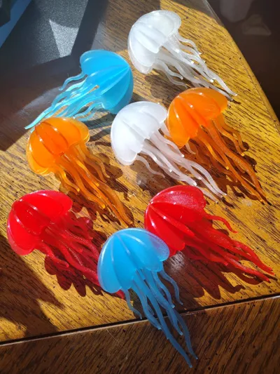 https://makerworld.bblmw.com/makerworld/model/26627/34175/ratings/b9e0cca0-9d4f-11f0-8b36-39d4d2c25d1e.jpg