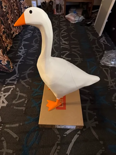 https://makerworld.bblmw.com/makerworld/model/2691256/2982047/ratings/d0c6f040-68f9-11f1-b2bd-5b67e2e7d159.jpg