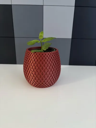 https://makerworld.bblmw.com/makerworld/model/27092/23521/ratings/0fd2d6f0-7b3e-11f0-b16a-e9806987787c.jpg