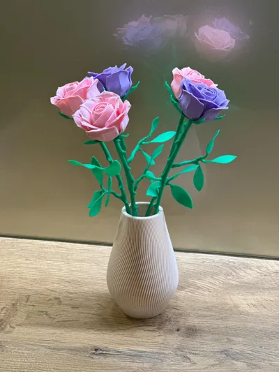 https://makerworld.bblmw.com/makerworld/model/27183/23600/ratings/5c47fac0-ee79-11f0-a6a6-234213a135d0.jpg