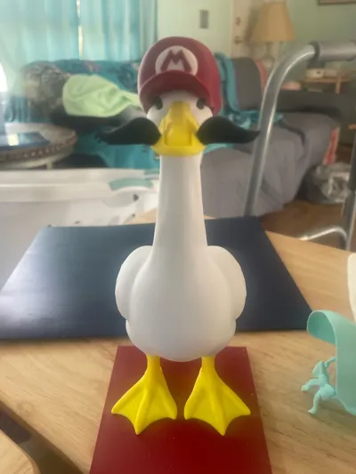 https://makerworld.bblmw.com/makerworld/model/2727708/3022671/ratings/55794280-4e4b-11f1-ba08-158e7282a42a.jpg