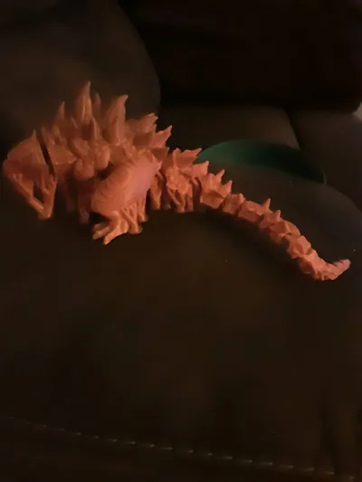 https://makerworld.bblmw.com/makerworld/model/2875091/3210282/ratings/68372b10-639c-11f1-b95f-6fc713d987a7.jpg