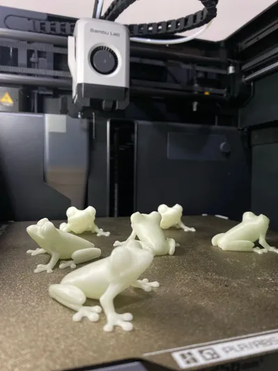 https://makerworld.bblmw.com/makerworld/model/29724/29061/ratings/0ad3d430-554e-11f0-a644-63008d8531a4.jpg