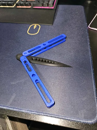 https://makerworld.bblmw.com/makerworld/model/30272/83140/ratings/58a65390-44ff-11f0-b732-659477d857ba.jpg
