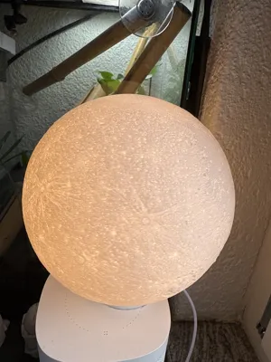 https://makerworld.bblmw.com/makerworld/model/31191/27822/ratings/6d6877b1-0a5b-11f0-af92-05668b4bf0a6.jpg