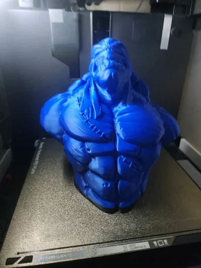 https://makerworld.bblmw.com/makerworld/model/32430/404148/ratings/b144ad20-2435-11f0-901d-990561712d9e.jpg