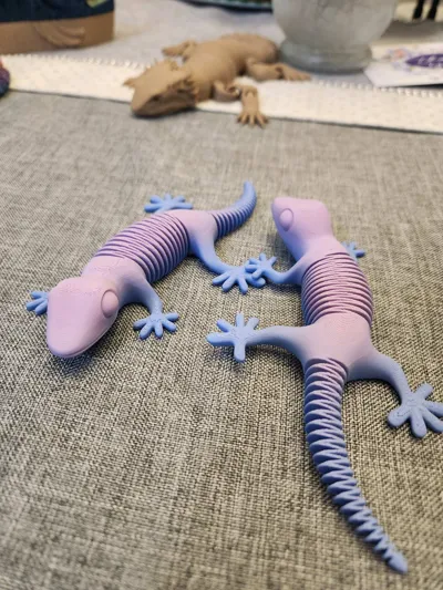 https://makerworld.bblmw.com/makerworld/model/32495/29155/ratings/e9f3feb0-1589-11f0-a287-7fb5b3991174.jpg