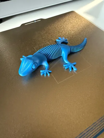 https://makerworld.bblmw.com/makerworld/model/32495/62767/ratings/693cbeb0-1aca-11f0-b0d8-854a97b4c2d1.jpg