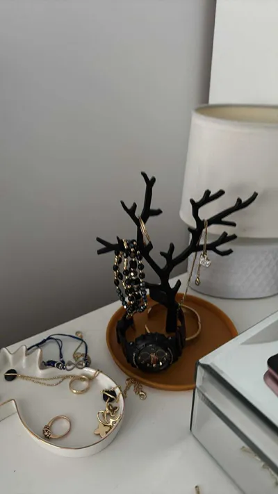 https://makerworld.bblmw.com/makerworld/model/33393/30325/ratings/86aa3600-4d36-11f0-9c4b-815b27e8de63.jpg