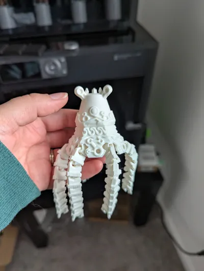 https://makerworld.bblmw.com/makerworld/model/34080/31209/ratings/44122a70-6e22-11f0-a947-672bd5b4f47e.jpg