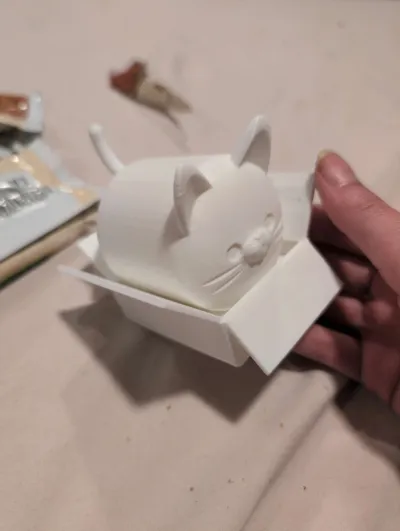 https://makerworld.bblmw.com/makerworld/model/35661/33931/ratings/6f6712f0-c1db-11f0-bcb9-efd4a0319c96.jpg