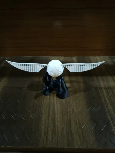 https://makerworld.bblmw.com/makerworld/model/36608/1734319/ratings/668f8070-856f-11f0-a22a-f91033a11b41.jpg