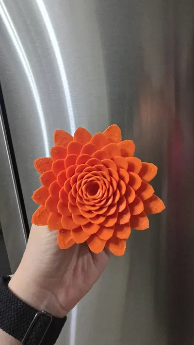 https://makerworld.bblmw.com/makerworld/model/375562/275467/ratings/67c82960-783b-11f0-9b14-611511705166.jpg