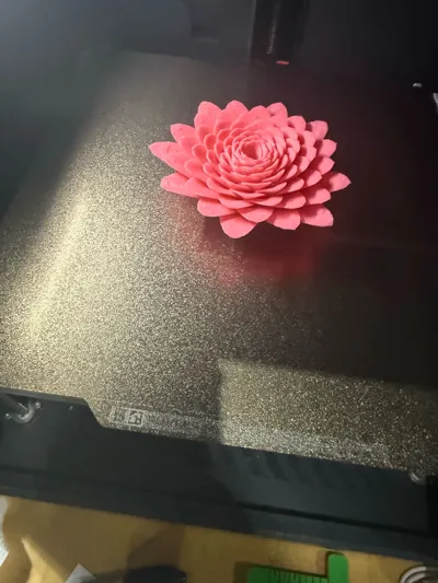 https://makerworld.bblmw.com/makerworld/model/375562/275467/ratings/83f7f830-1036-11f0-a0bc-a9b4d927085e.jpg