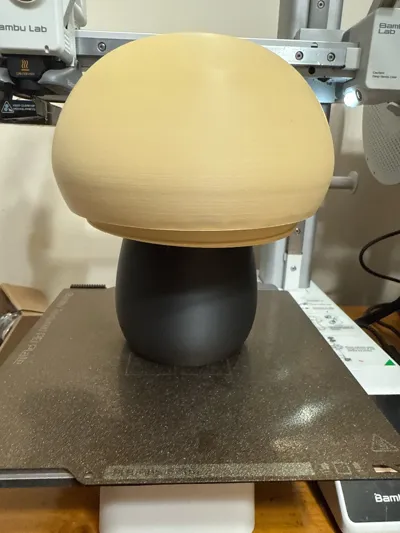 https://makerworld.bblmw.com/makerworld/model/375763/275775/ratings/b29b9bf0-82fb-11f0-bc23-0ff7245d1c2d.jpg