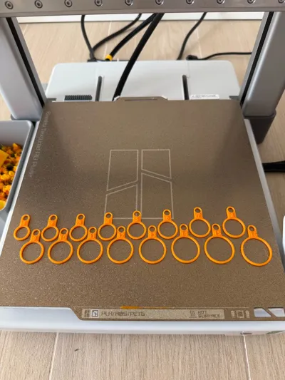 https://makerworld.bblmw.com/makerworld/model/375946/275903/ratings/f53e8950-8403-11f0-af69-59c7f794ee47.jpg