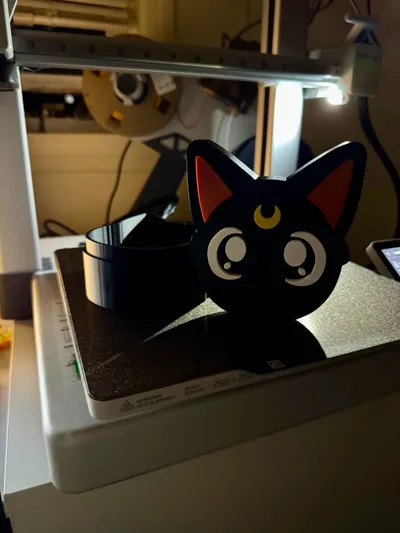 https://makerworld.bblmw.com/makerworld/model/376109/1407828/ratings/5b057850-ad41-11f0-a43a-5d0fd2414006.jpg
