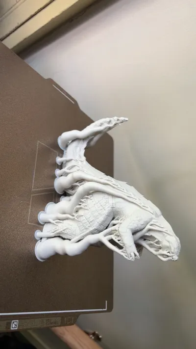 https://makerworld.bblmw.com/makerworld/model/376316/284090/ratings/aa429880-5daa-11f0-b829-db9ce710b67b.jpg