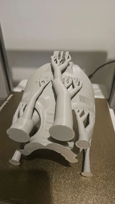 https://makerworld.bblmw.com/makerworld/model/377366/277226/ratings/36faa4b0-a9a1-11f0-861a-51d0719a4a22.jpg