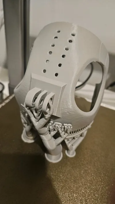 https://makerworld.bblmw.com/makerworld/model/377366/277226/ratings/370ad150-a9a1-11f0-861a-51d0719a4a22.jpg