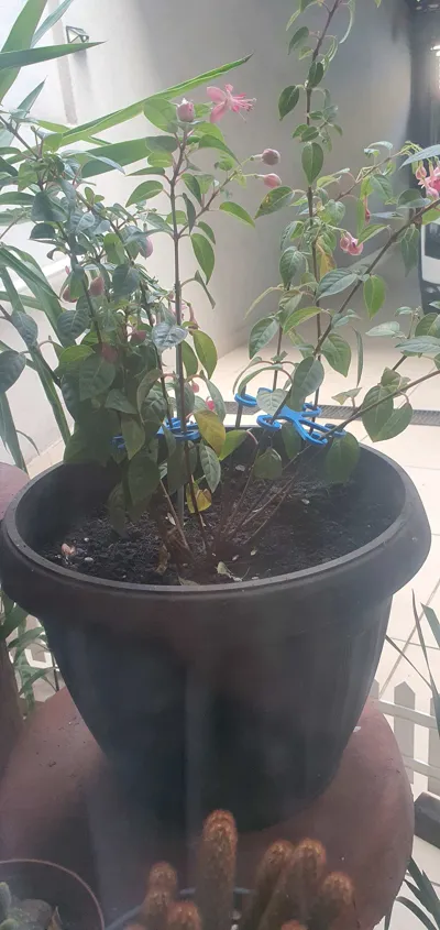 https://makerworld.bblmw.com/makerworld/model/382668/282807/ratings/768b4460-f468-11f0-84f8-9314e931216f.jpg