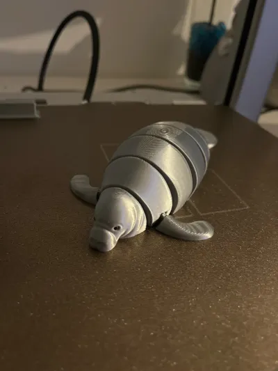 https://makerworld.bblmw.com/makerworld/model/382882/283020/ratings/415be6c0-7e0a-11f0-b1cb-8b3047834a40.jpg