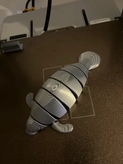 https://makerworld.bblmw.com/makerworld/model/382882/283020/ratings/4174ed00-7e0a-11f0-b1cb-8b3047834a40.jpg
