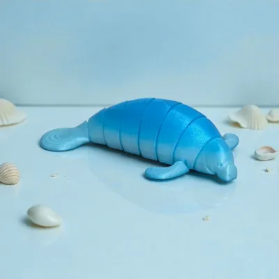 https://makerworld.bblmw.com/makerworld/model/382882/283020/ratings/80043350-c752-11f0-918c-792f2690eff0.png