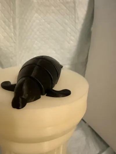 https://makerworld.bblmw.com/makerworld/model/382882/283306/ratings/5b292770-6a5a-11f0-aafe-29bf1d3c3aab.jpg