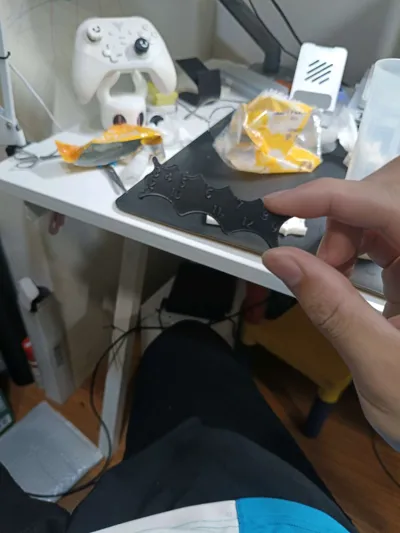 https://makerworld.bblmw.com/makerworld/model/385463/285815/ratings/710140d0-a364-11f0-b9a5-d9dfb437e3e2.jpg