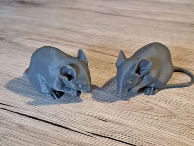 https://makerworld.bblmw.com/makerworld/model/386094/286487/ratings/d204ae90-bd9e-11f0-97de-4f826004df96.jpg
