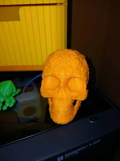 https://makerworld.bblmw.com/makerworld/model/386858/658582/ratings/c05f83f0-69ce-11f0-87e0-2f124dd61e56.jpg