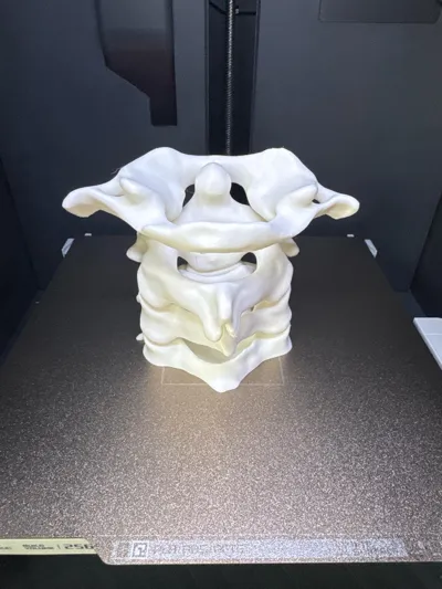 https://makerworld.bblmw.com/makerworld/model/387834/293971/ratings/bbd63b60-42f7-11f0-9bdf-dd33cf90aa5f.jpg