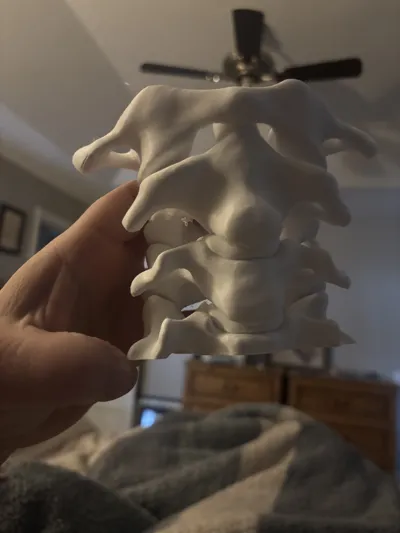 Spine Pen Holder by Pirate_The_Captain - MakerWorld