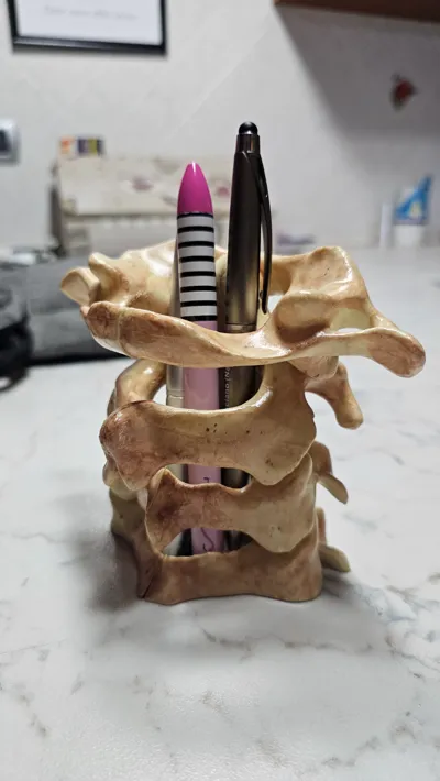 Spine Pen Holder by Pirate_The_Captain - MakerWorld