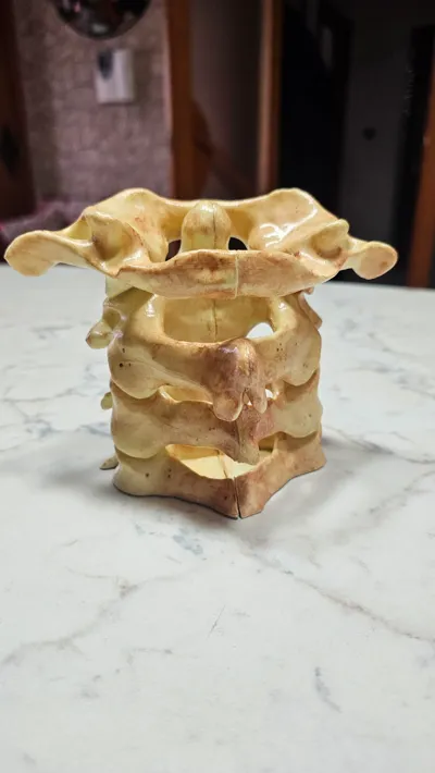 Spine Pen Holder by Pirate_The_Captain - MakerWorld