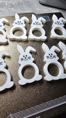 https://makerworld.bblmw.com/makerworld/model/389292/290255/ratings/68d067b0-0044-11f0-ae22-57ac8a8b792f.jpg