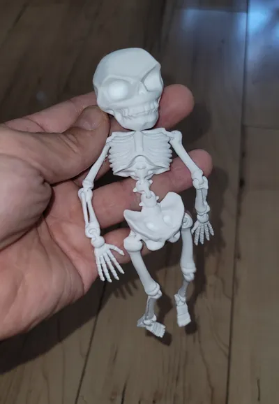 Articulated Skeleton - High Detail by 3D design MakerWorld: Download ...