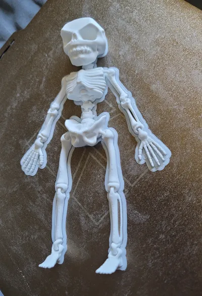 Articulated Skeleton - High Detail by 3D design MakerWorld: Download ...