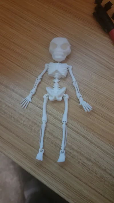 Articulated Skeleton - High Detail by 3D design MakerWorld: Download ...