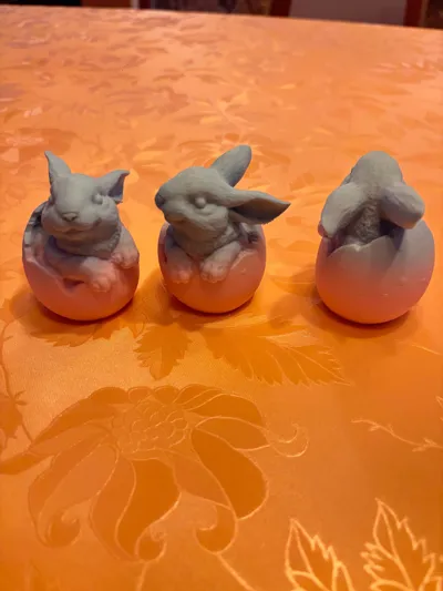 https://makerworld.bblmw.com/makerworld/model/393872/294997/ratings/b5e12150-1de2-11f0-9d77-b337a977114b.jpg