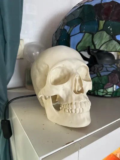 https://makerworld.bblmw.com/makerworld/model/394709/295879/ratings/92bbd2b0-87d2-11f0-afbe-49056f42e61e.jpg