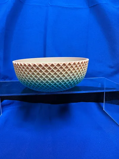 https://makerworld.bblmw.com/makerworld/model/394985/296202/ratings/d6dd1460-b93a-11f0-a429-679e24d29ed3.jpg