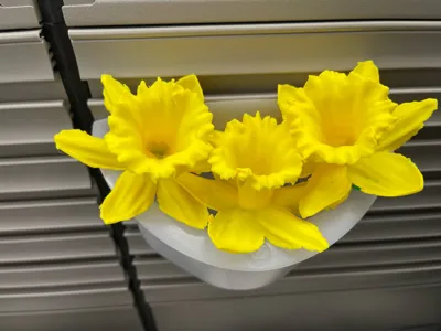 https://makerworld.bblmw.com/makerworld/model/395473/296756/ratings/36df57c0-277c-11f0-a338-4d2ae75b2790.jpg